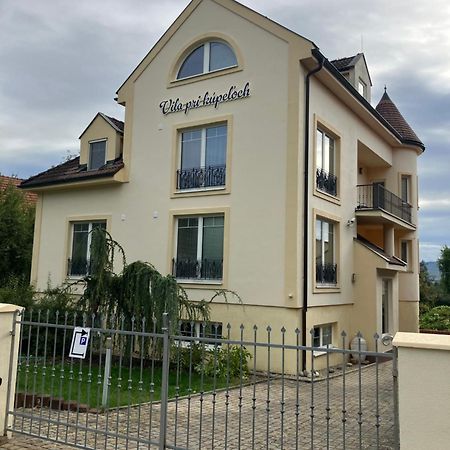 Vila Pri Kupeloch Бойниці Екстер'єр фото